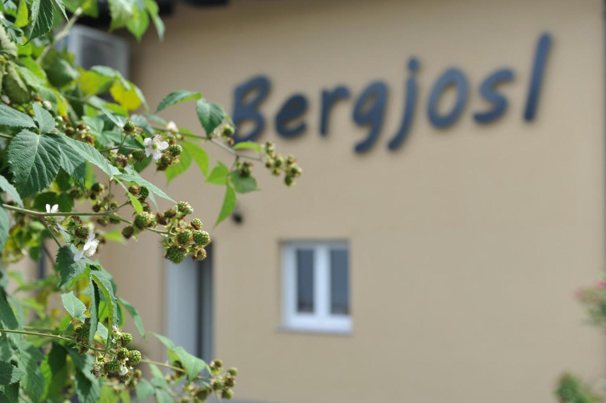 Beim Bergjosl Apartment Kirchbach in Steiermark Ngoại thất bức ảnh