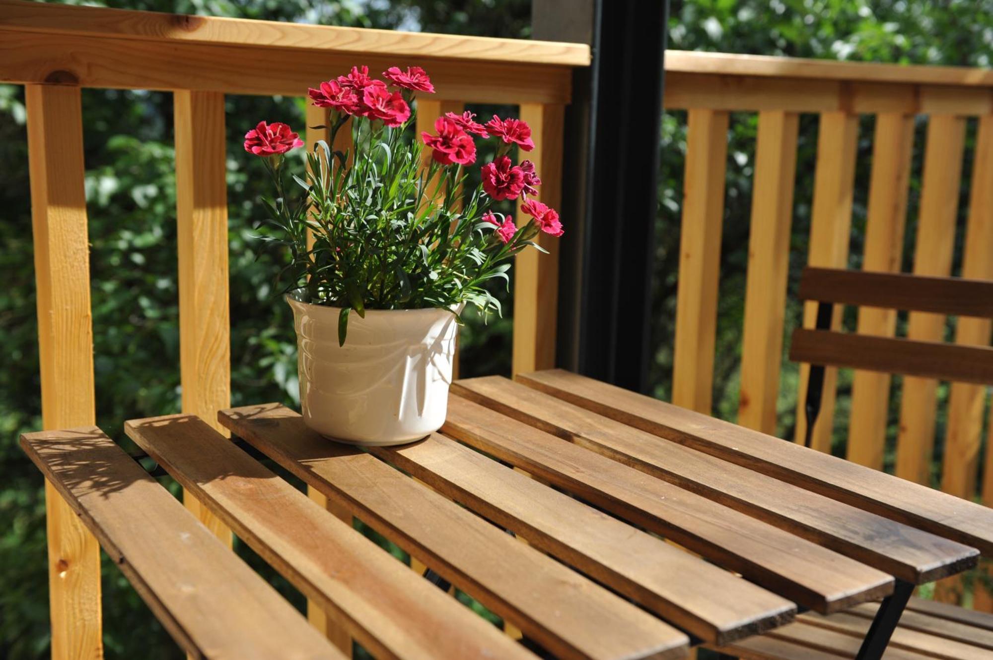 Beim Bergjosl Apartment Kirchbach in Steiermark Ngoại thất bức ảnh