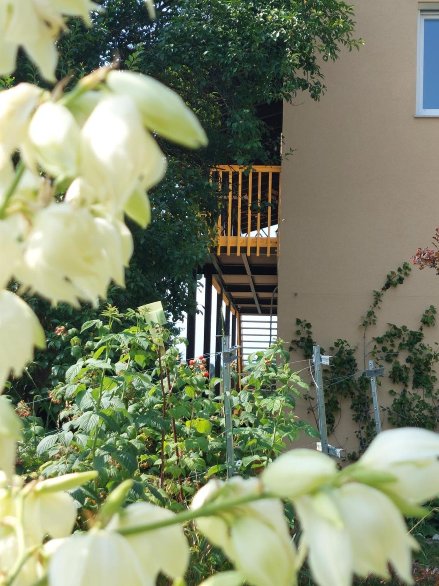 Beim Bergjosl Apartment Kirchbach in Steiermark Ngoại thất bức ảnh