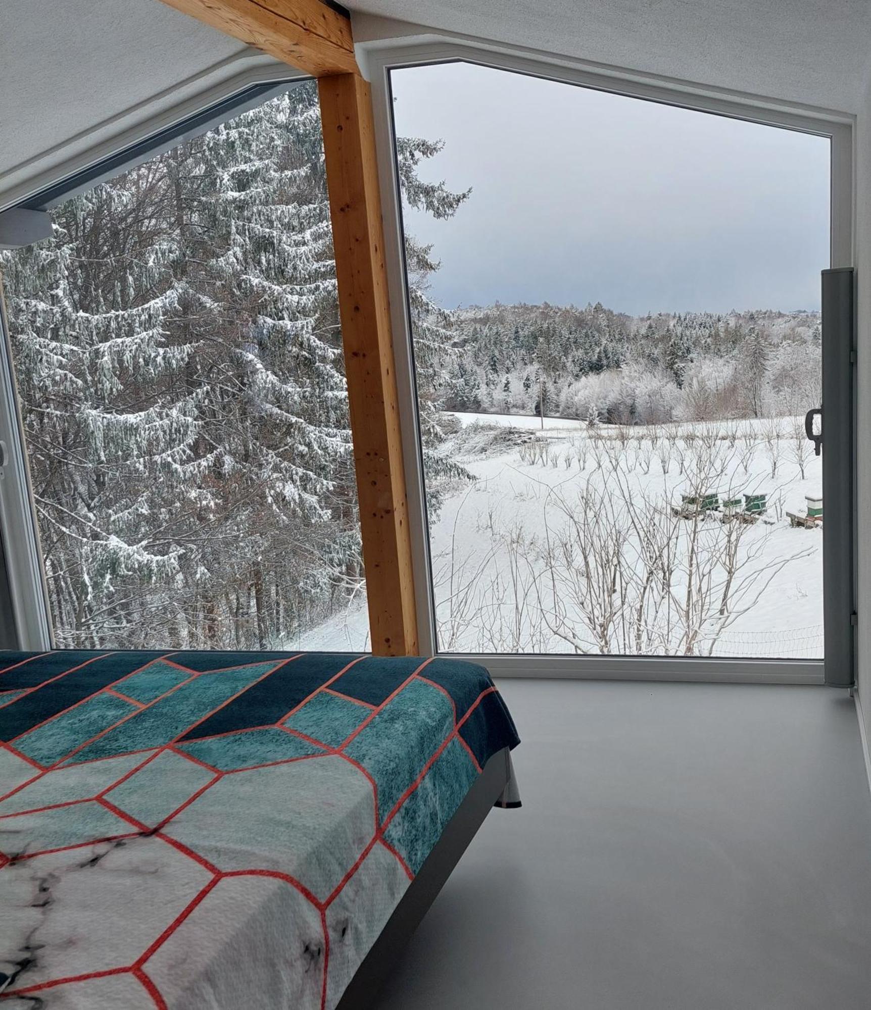 Beim Bergjosl Apartment Kirchbach in Steiermark Ngoại thất bức ảnh